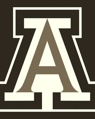 Arizona Wildcats Tucson