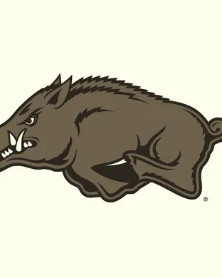 Arkansas Razorbacks Baseball Inglewood