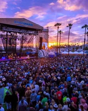 BeachLife Festival Redondo Beach