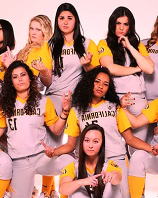 California Golden Bears Softball Los Angeles