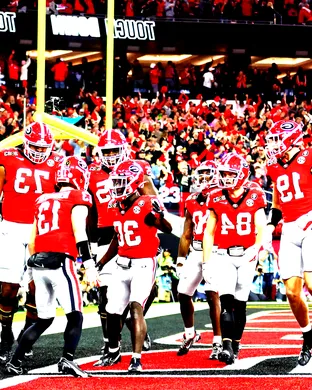 Georgia Bulldogs Football Inglewood