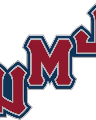Loyola Marymount Lions Los Angeles