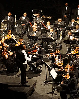 Orchestra Noir Los Angeles