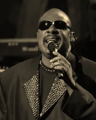 Stevie Wonder