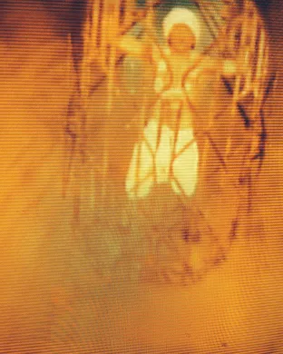 Terror Pomona