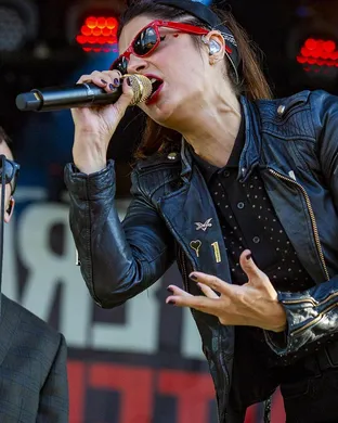 The Interrupters Anaheim