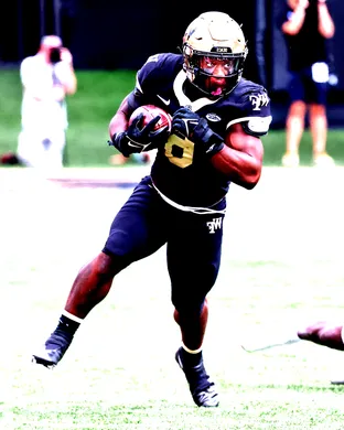 Wake Forest Demon Deacons Football Inglewood