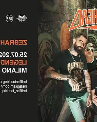 Zebra Los Angeles