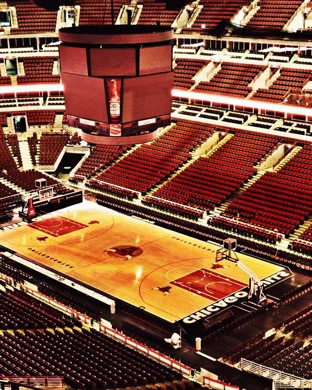 South Carolina Gamecocks Women's Basketball Greenville
