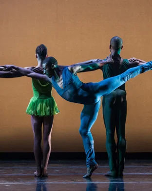 Gallim Dance Irvine